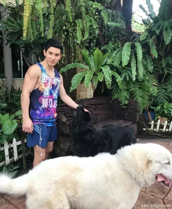 看点∣独爱穿泳裤自拍的极品大胸小鲜肉 找了个八块腹肌的男朋友了! - 51虹马