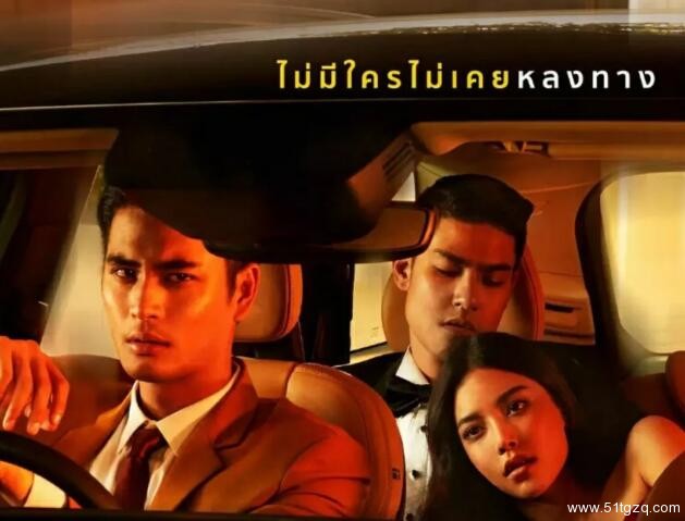 女人雇猛男下药强X老公秘密男友 2017悬疑 惊悚耽美电影 - 51虹马